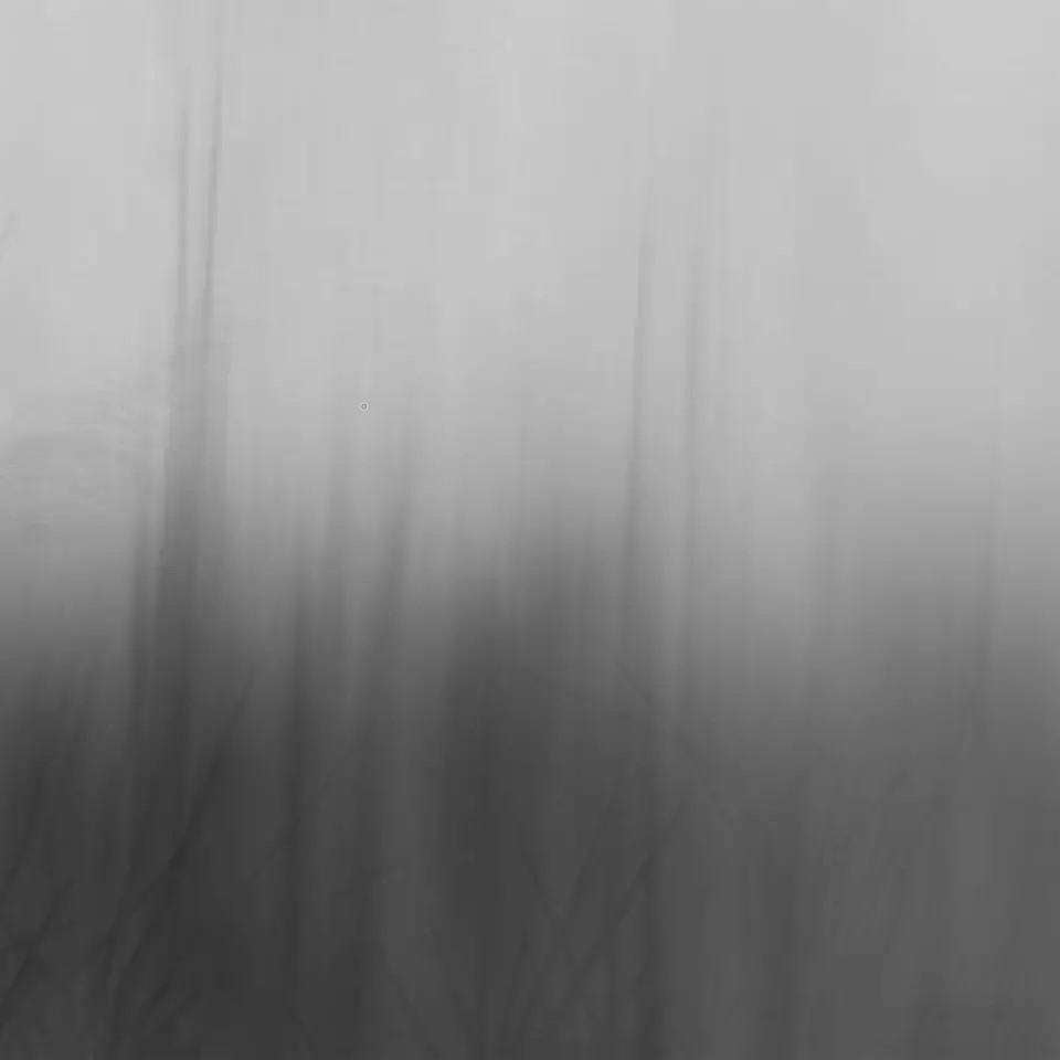 Whisper-behang-Tapete-Glamora-2B-GlamFusion-GLF752B-Selected Wallpapers