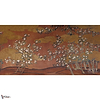 White Blossom-Tapete-Iksel-Selected Wallpapers