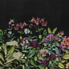 Wild Floral-Behang-Tapete-Coordonne-Night-Non Woven-950040-Selected Wallpapers