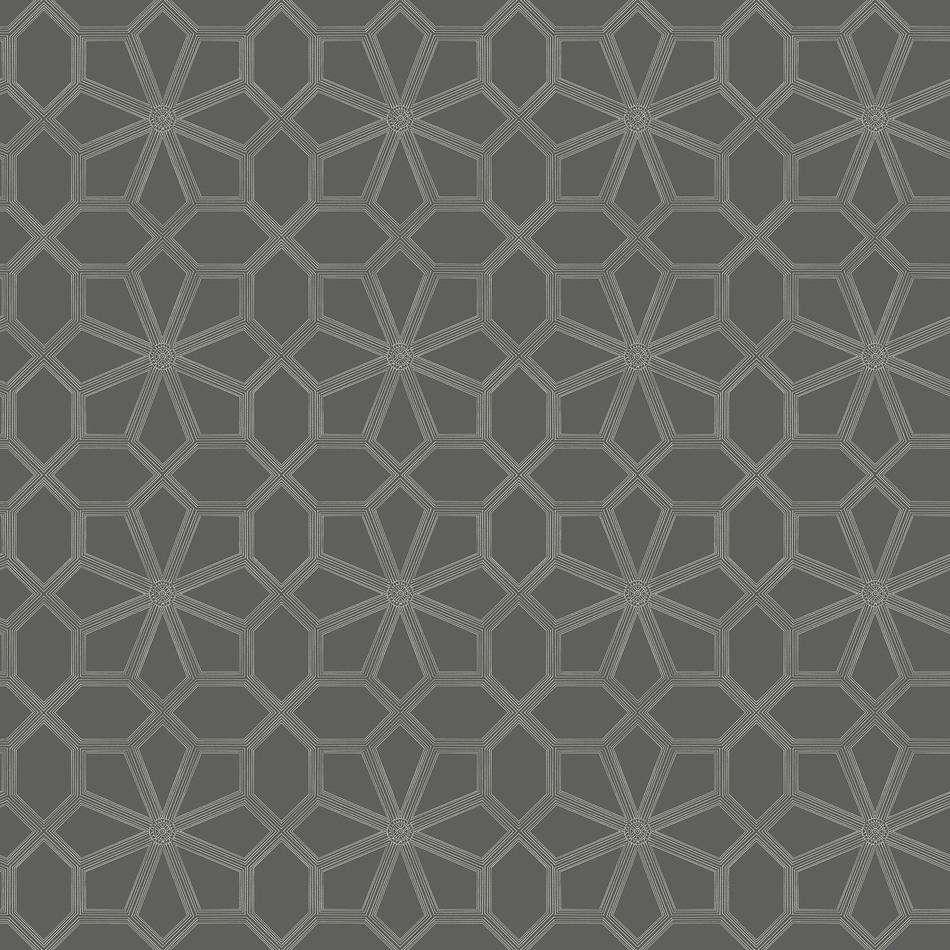 Wolsey Stars-behang-Tapete-Cole & Son-Chalk on Charcoal-Rol-118/16037-Selected Wallpapers