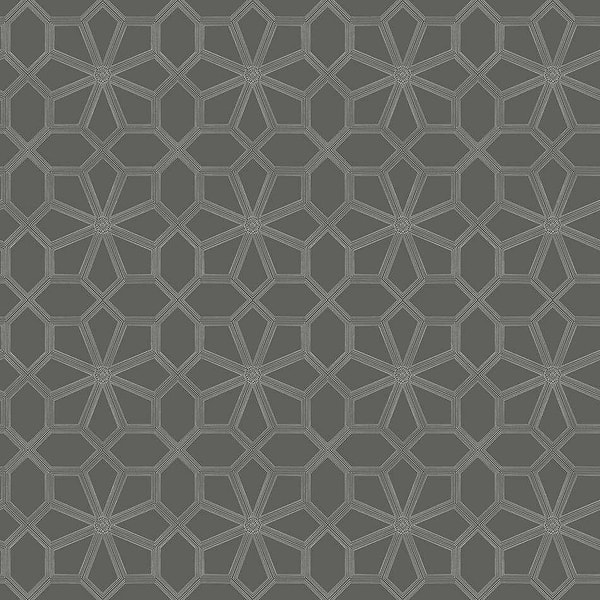 Wolsey Stars-behang-Tapete-Cole & Son-Chalk on Charcoal-Rol-118/16037-Selected Wallpapers