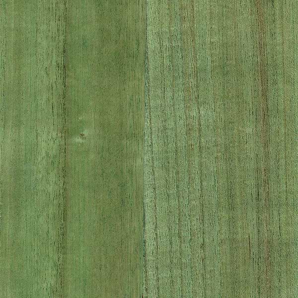 Wood Veneer Natural Palette-behang-Greenland-Willow Bough-Meter (M1)-N158NV1024-Selected Wallpapers