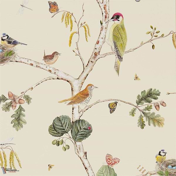 Woodland Chorus-behang-Tapete-Sanderson-Cream/Multi-Rol-215703-Selected Wallpapers
