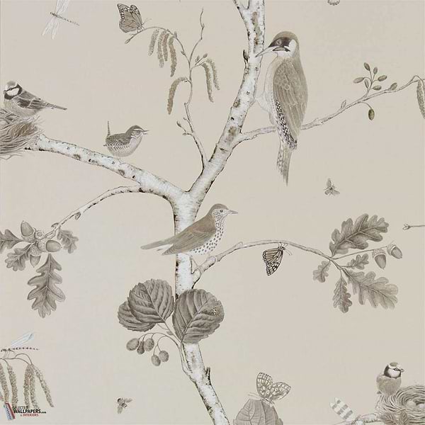 Woodland Chorus-behang-Tapete-Sanderson-Sepia/Neutral-Rol-215704-Selected Wallpapers