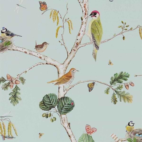 Woodland Chorus-behang-Tapete-Sanderson-Blue/Multi-Rol-215706-Selected Wallpapers