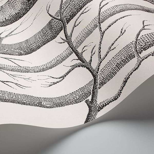 Woods-behang-Tapete-Cole & Son-Selected Wallpapers