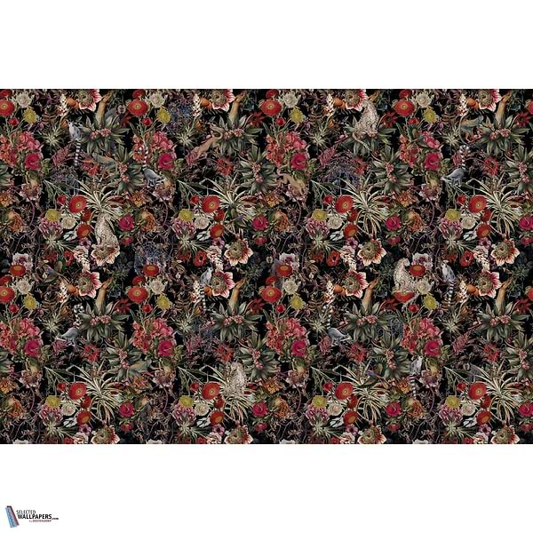 Zaira-Behang-Tapete-INSTABILELAB-Selected Wallpapers