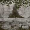 Zilant-Wallpaper-Coordonne-Chia seed-Non Woven-7900193-Selected Wallpapers
