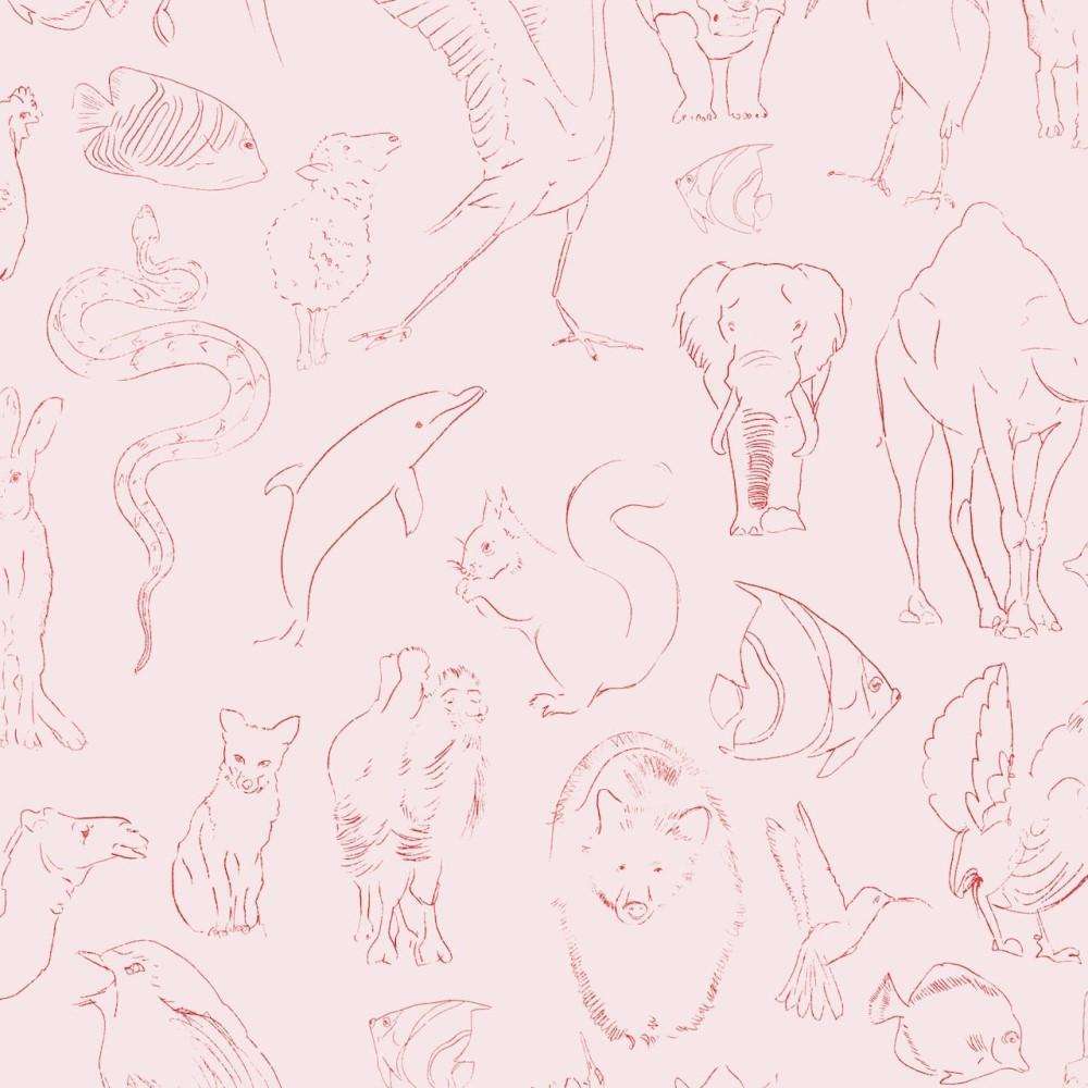 Zoology-behang-Tapete-Coordonne-Candy-Rol-9700181-Selected Wallpapers