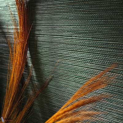 Zostera-Behang-Tapete-Casamance-Selected Wallpapers