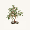 Picture of Success Feng Shui Antique Jade Stone Tree Small