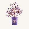 Picture of Healthy Abundance Amethyst Potted Feng Shui Tree