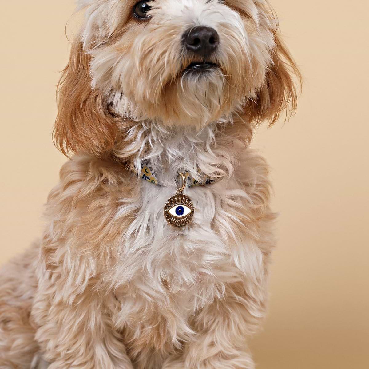 Karma and Luck  Pets  -  Protected Wanderer - Bronze Enamel Evil Eye Pets Dog Tag