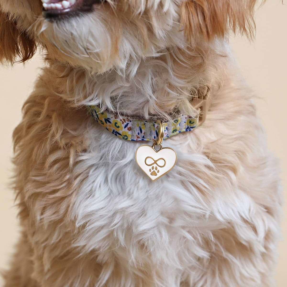 Karma and Luck  Pets  -  Endless Care - Bronze White Enamel Large Heart Infinity Pet Tag