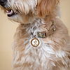 Karma and Luck  Pets  -  Lively Emotion - Bronze White Enamel Om Zen Woof Dog Tag