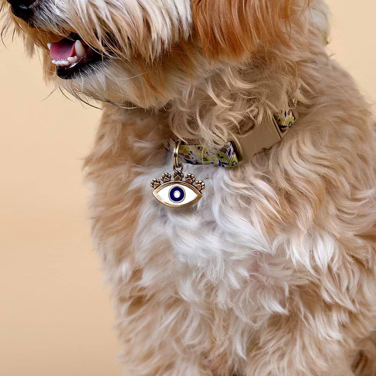 Karma and Luck  Pets  -  Devoted Care - Bronze Enamel Evil Eye Pets Dog Tag