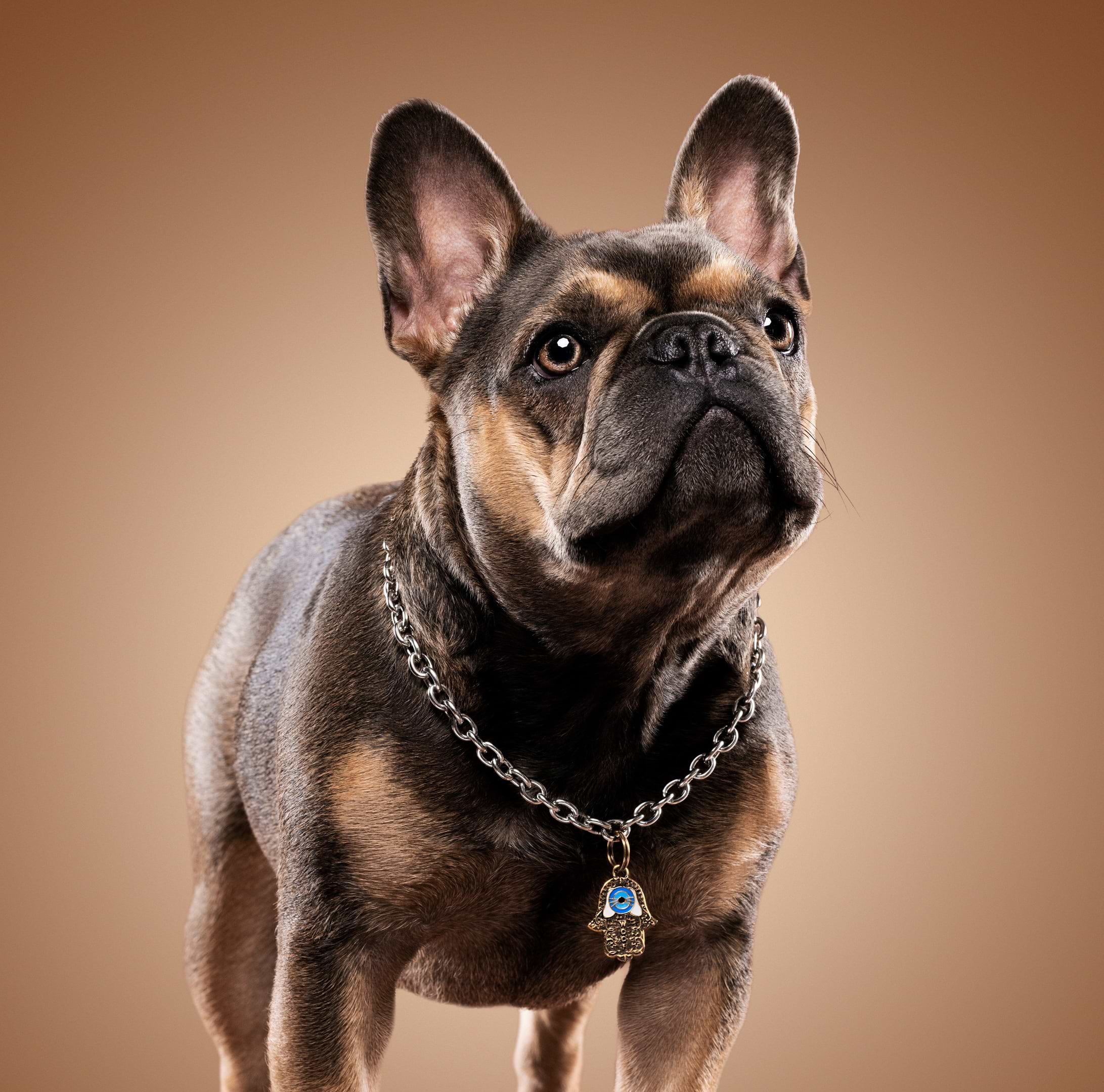 Karma and Luck  Pets  -  Protected Freedom - Bronze Enamel Evil Eye Hamsa Large Dog Tag