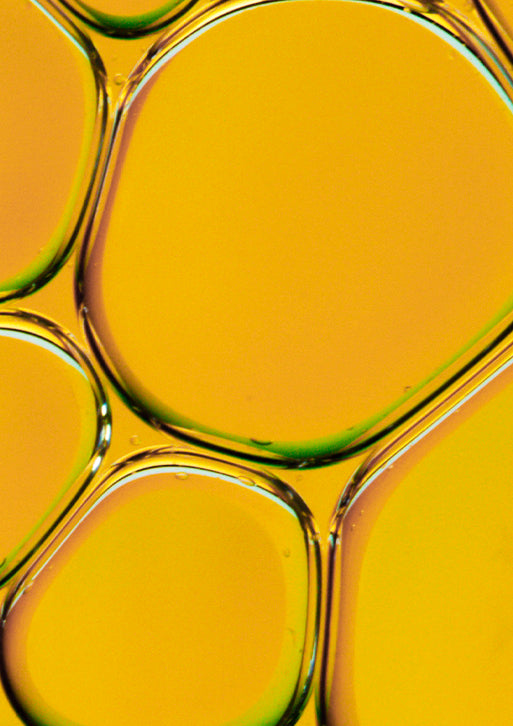 Macro photograph of interconnected, bright yelloworange oil droplets