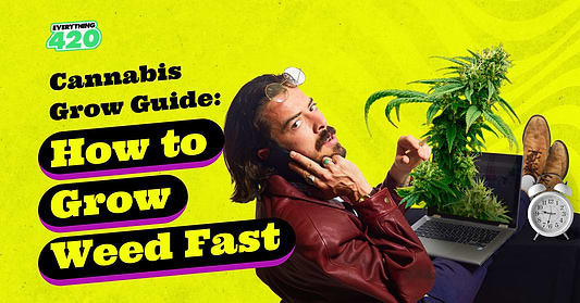 Cannabis Grow Guide: How to Grow Plants Fast