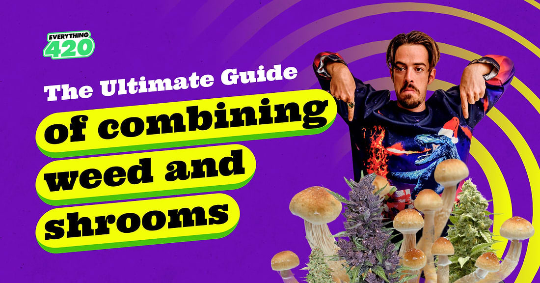 The Ultimate Guide of Combining Weed and Shrooms