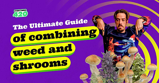 The Ultimate Guide of Combining Weed and Shrooms