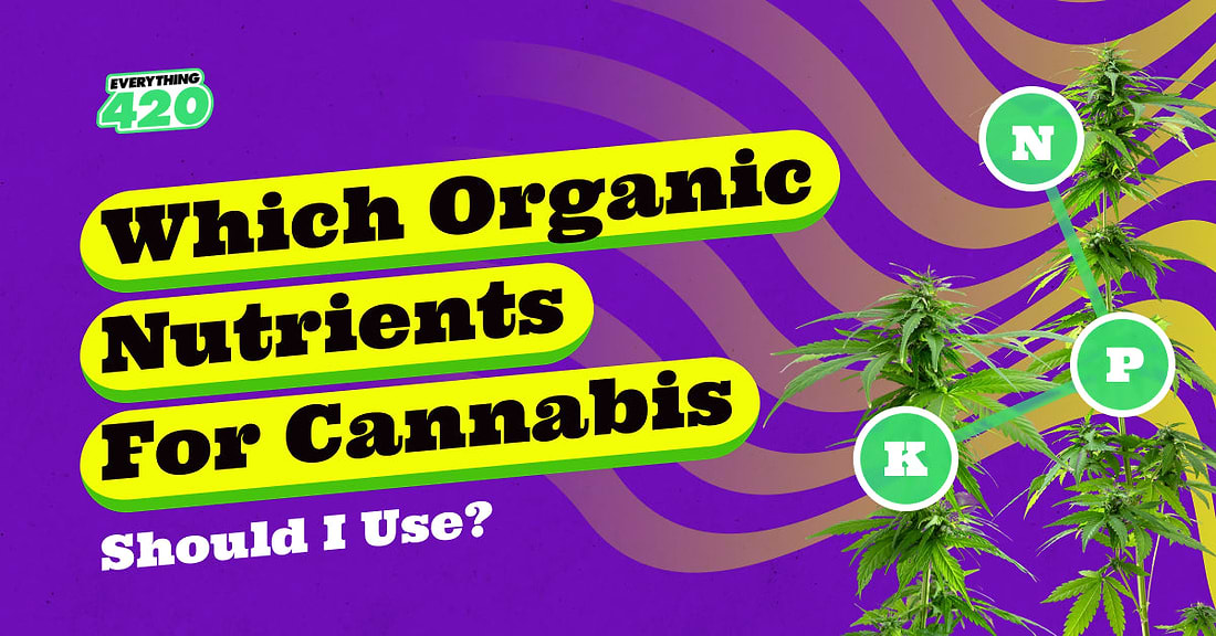 Which Organic Nutrients For Cannabis Should I Use?