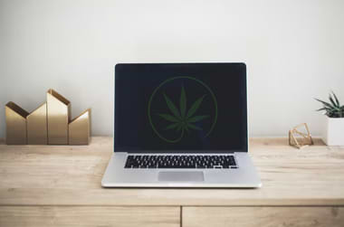 Top 10 search results mistakes from cannabis users 1