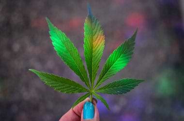 Girl with marijuana leaf