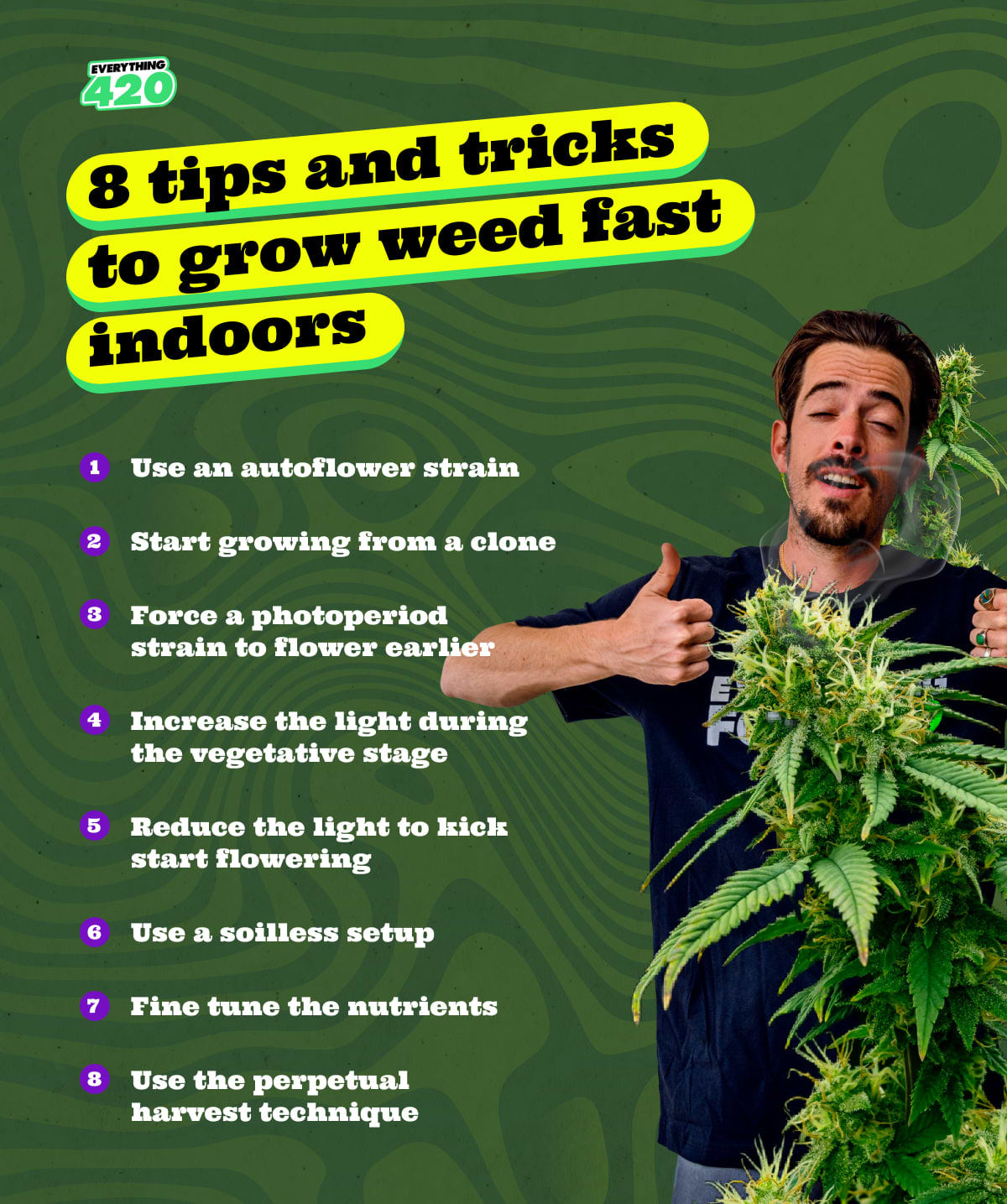8 tips and tricks to grow weed fast indoors