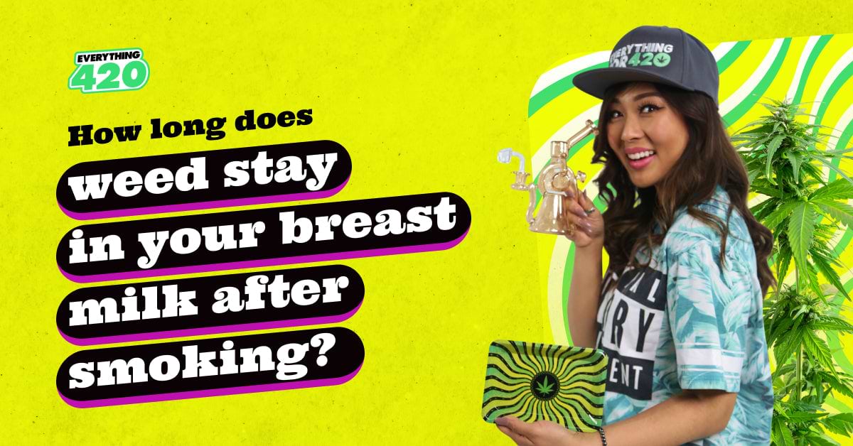 How long does weed stay in your breast milk after smoking? 