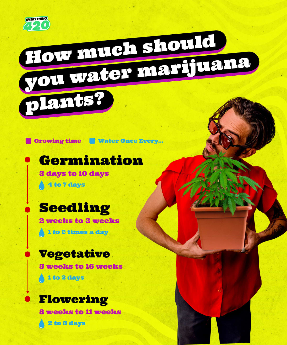 How much should you water marijuana plants?