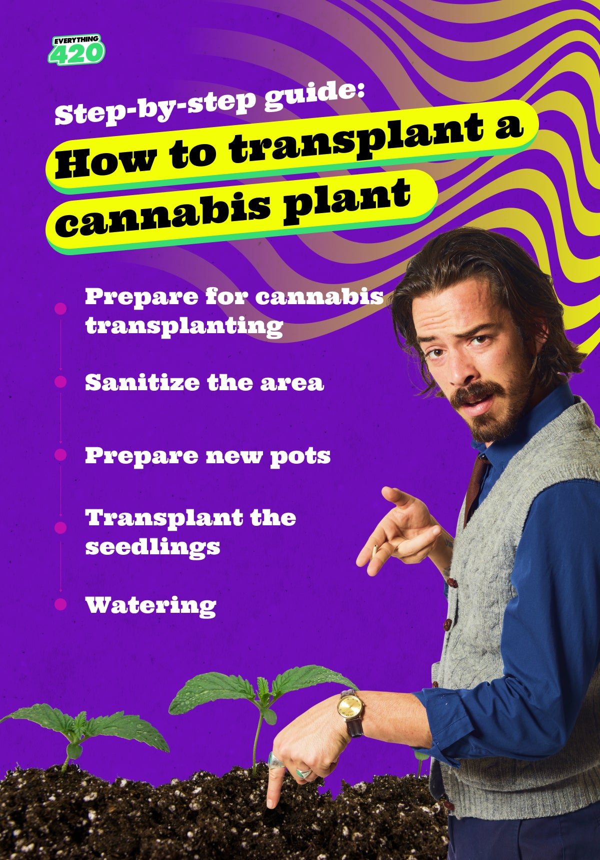 Step-by-step guide: How to transplant a cannabis plant