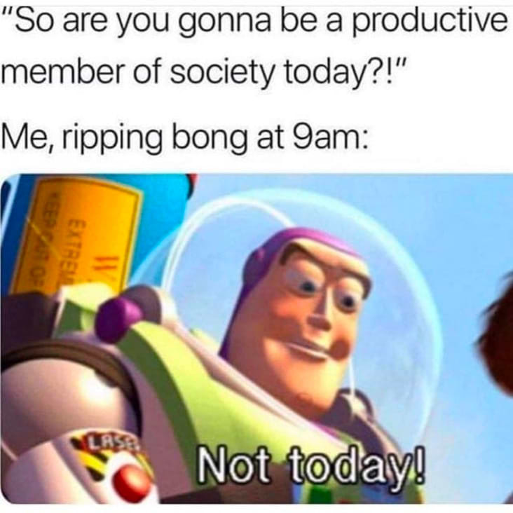 The funniest part about this meme is that stoners are actually pretty productive if you allow them to have a feel good smoke sesh beforehand! If you want a happy camper of a stoner to spend the day with, make sure they take a few wake and bake bo gs rips before expecting them to get anything done. 