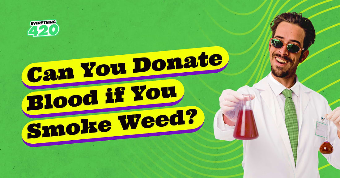 Can You Donate Blood if You Smoke Weed?