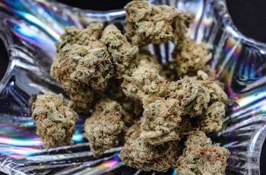 Marijuana buds on iridescent dish