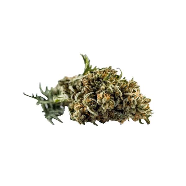 Puro Oreoz THC-A Flower - 3.5g