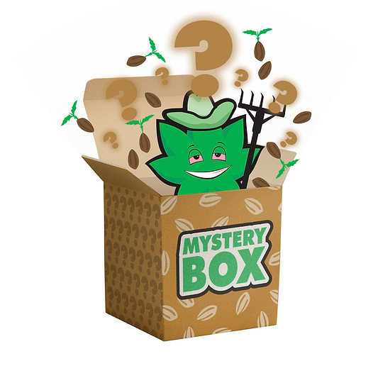 E420 Seed Mystery Box