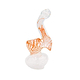 4-inch heat-safe mini glass classic bubbler bent neck Orange Cream swirl colors twisting design genie-in-a-bottle shape