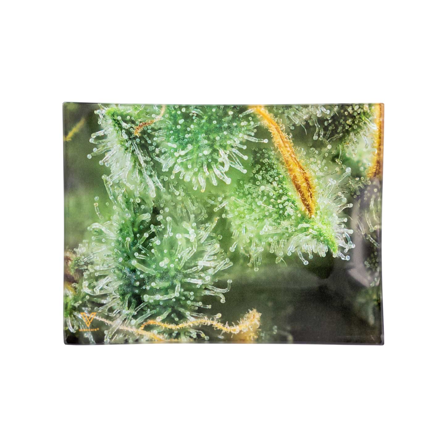 Tricomb Jungle Small Glass Rolling Tray - 6.5in