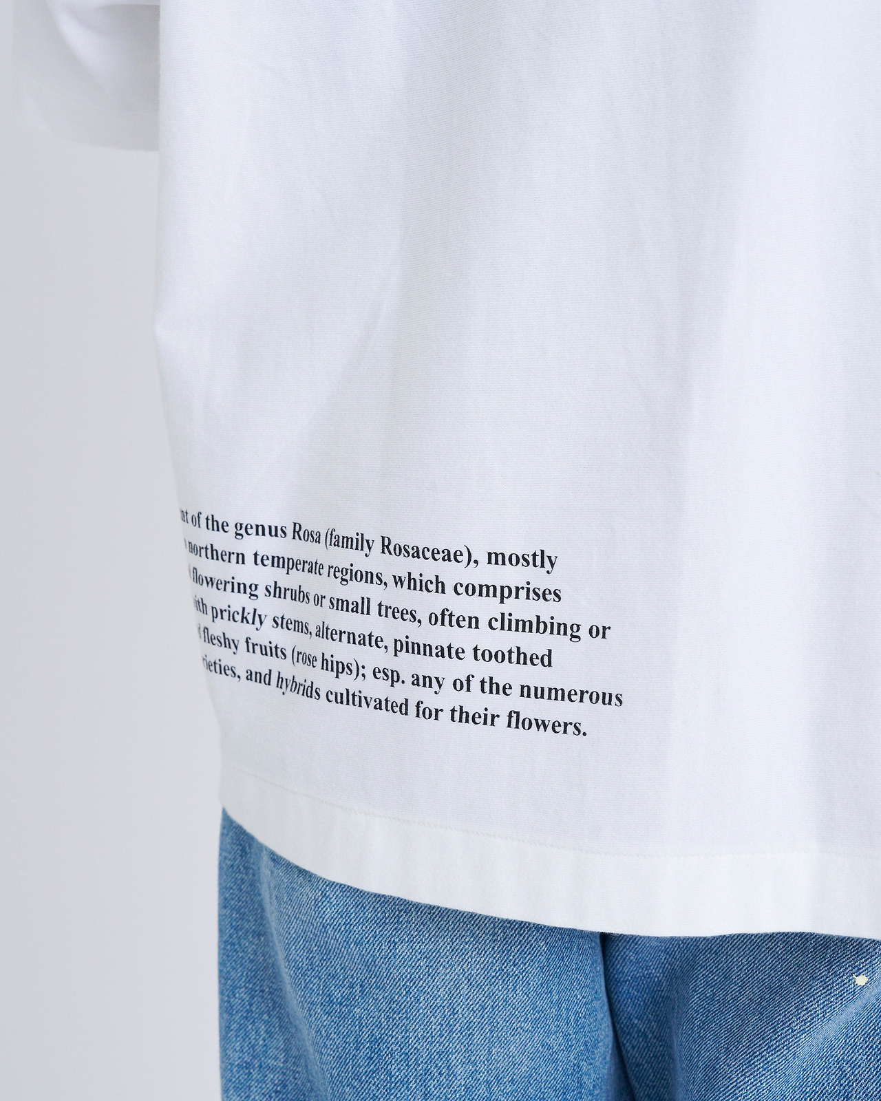 【25SS】ザ・ボクシーTシャツ