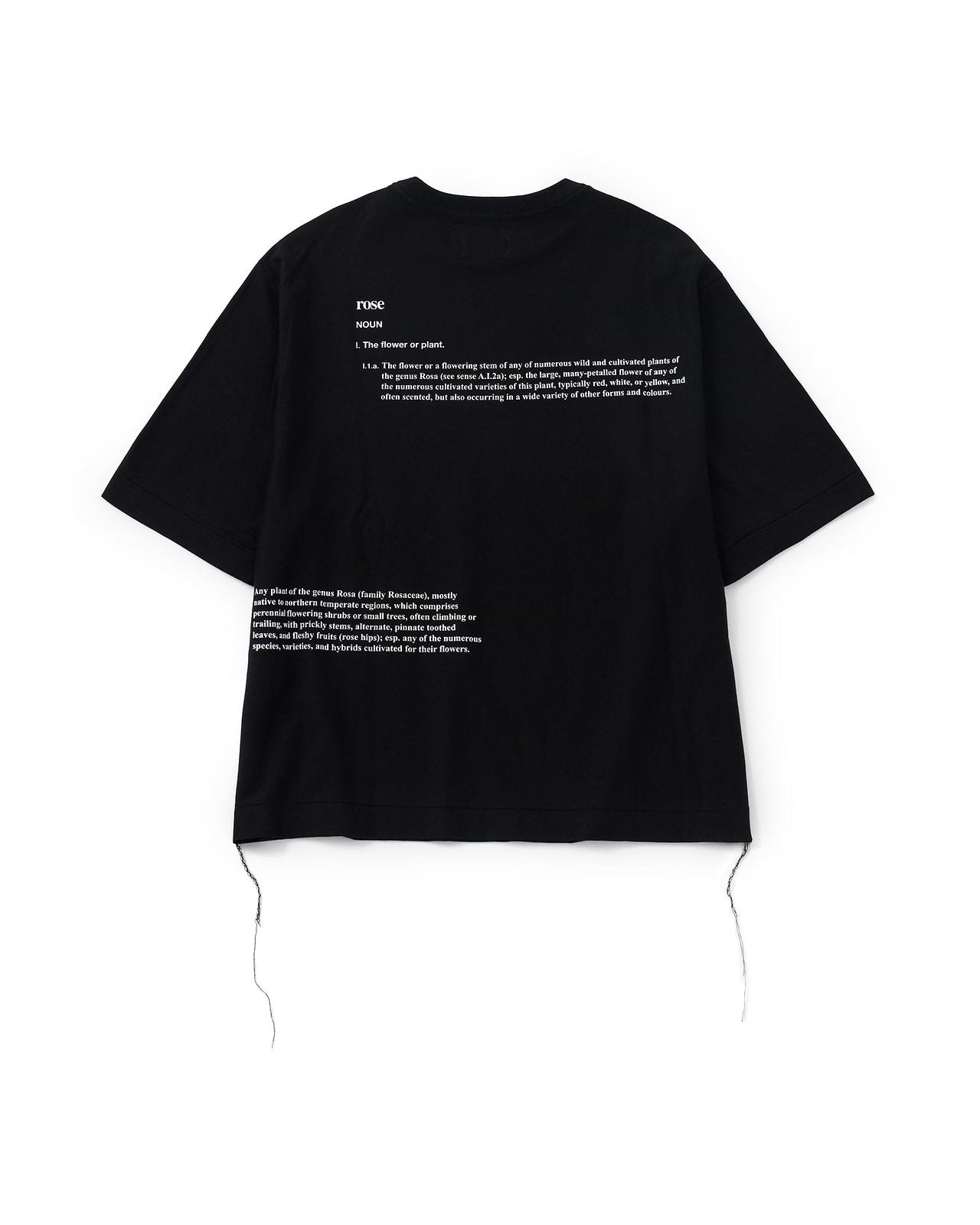 【25SS】ザ・ボクシーTシャツ