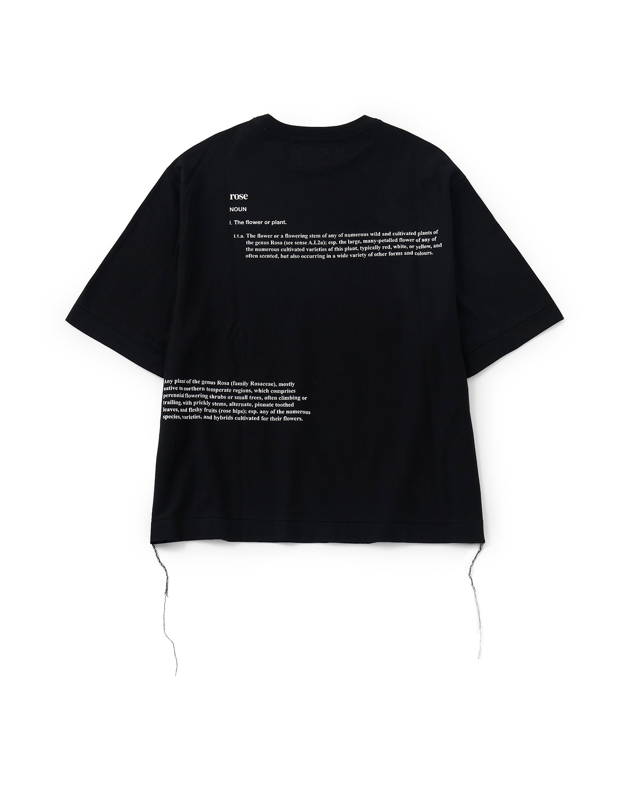 【25SS】ザ・ボクシーTシャツ