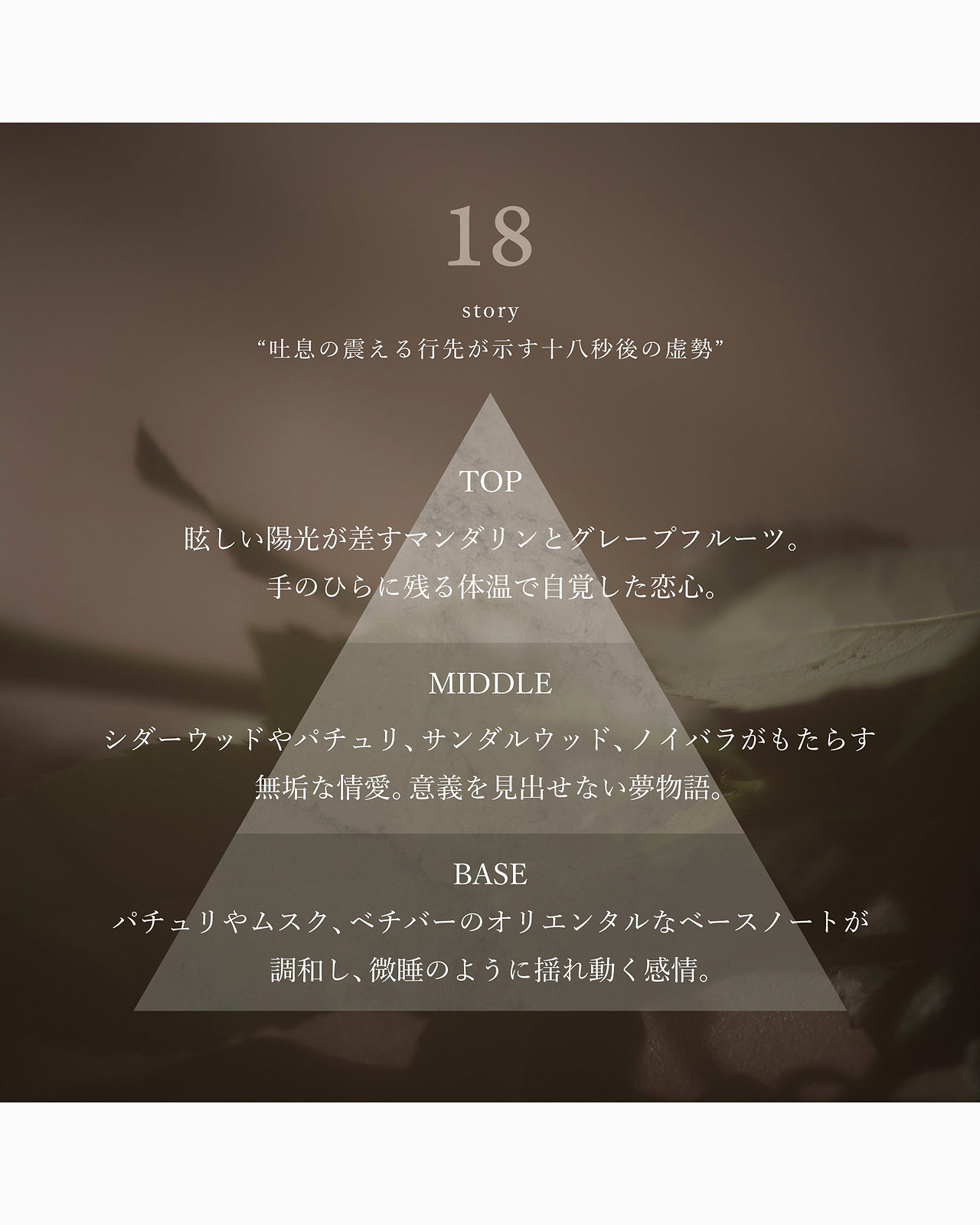 オードパルファムローズ No.18サンダルローズ