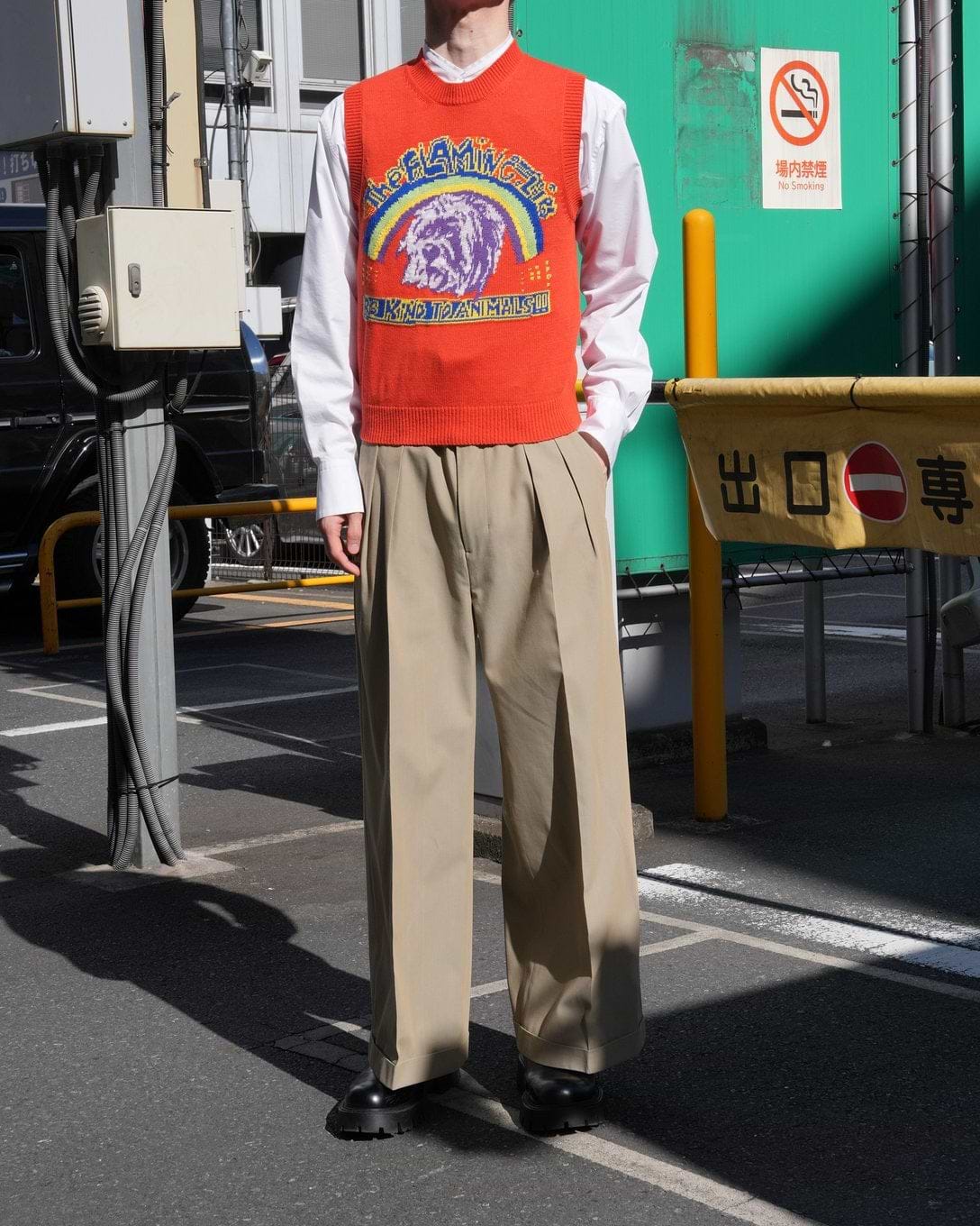 THE aロックニットザフレーミングリップス（レッド）