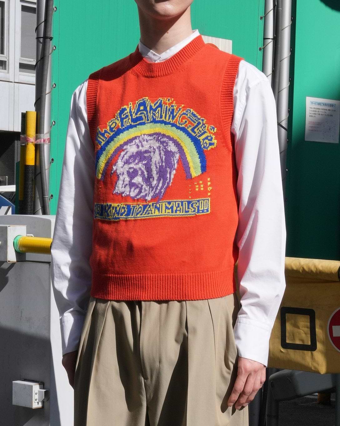 THE aロックニットザフレーミングリップス（レッド）