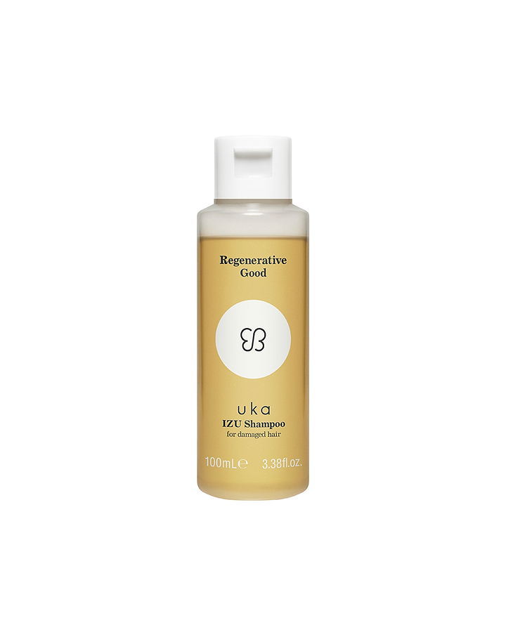 イズシャンプー フォー ダメージヘアタイプ/100mL ボトル
