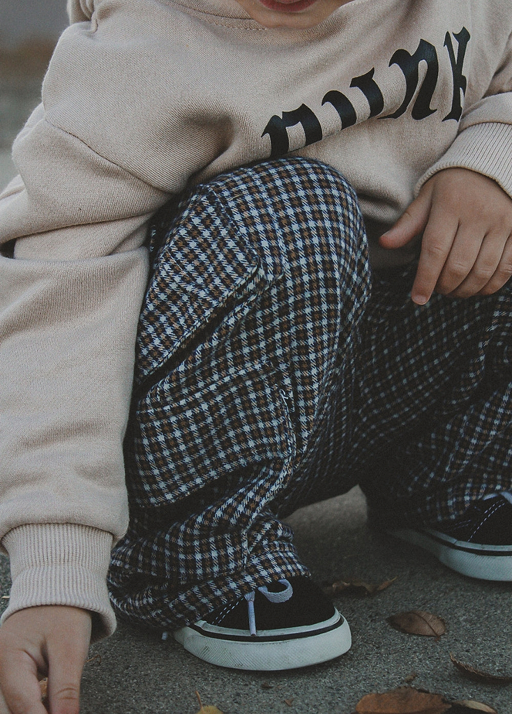 Plaid Flannel Cozy Cargos