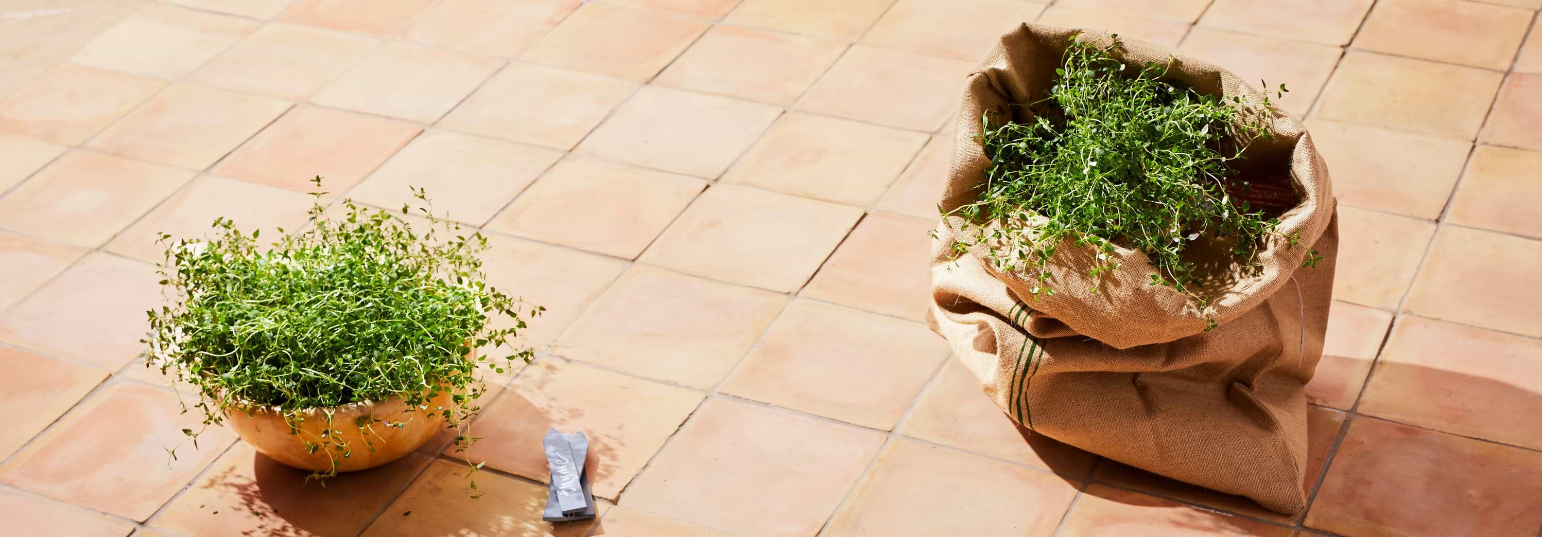 Outdoor Tiles for Gardens, Patios, and Decking