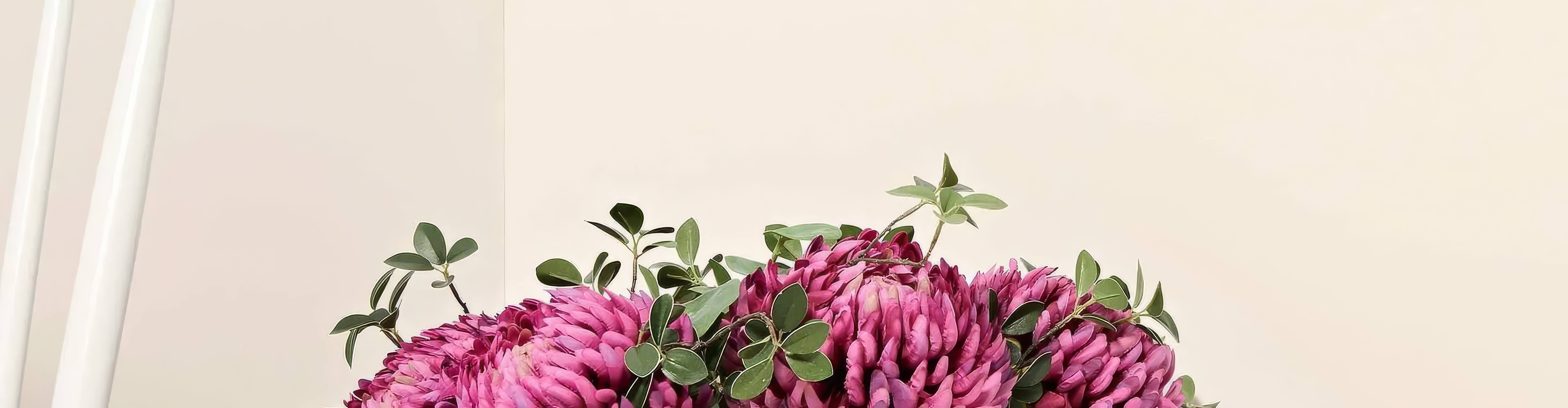 White Paint | Hyperion Tiles