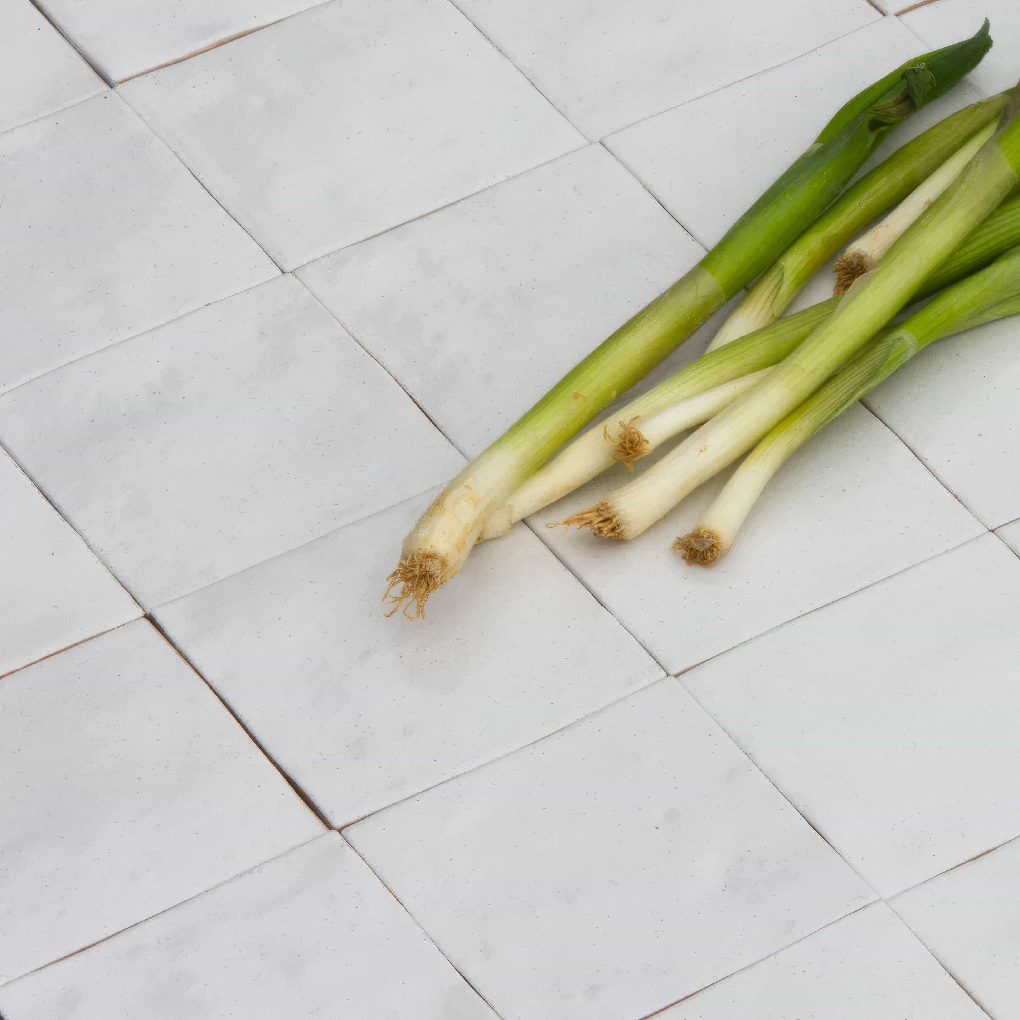 Brighton Stone Ceramic Zellige By Hyperion Tiles